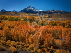 CALIFORNIA Willow Springs Autumn